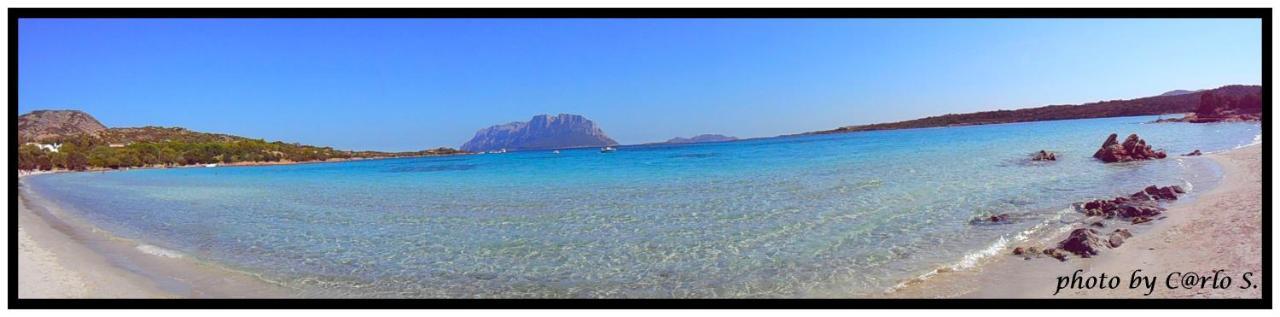 #Garibaldi 05 - Old Town Apartman Olbia Kültér fotó